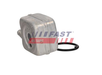 RADIATOR ULEI ULEI MOTOR FAST FT00655 4