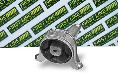 окачване, двигател FIRST LINE FEM4131