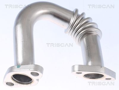 Potrubí, AGR-ventil TRISCAN 8811 29107