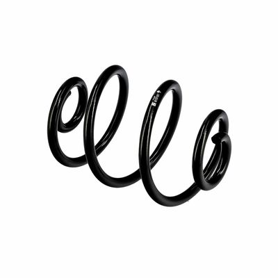 ARC SPIRAL EIBACH R10187 21