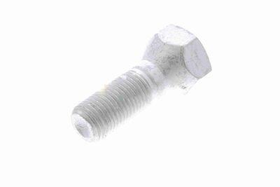 SURUB ROATA VAICO V240509 8