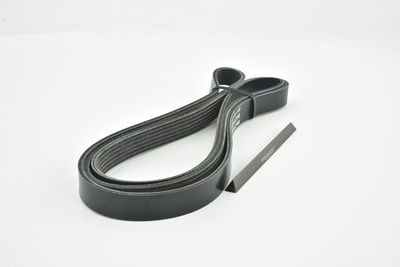 CUREA TRANSMISIE CU CANELURI FEBEST 881286L2100 43