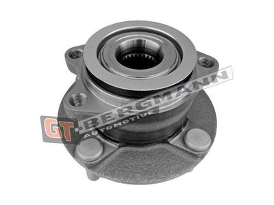 GT-BERGMANN Automotive Rato guolio komplektas