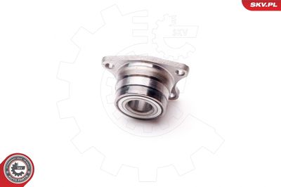 Wheel Bearing Kit 29SKV115