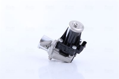 EGR Valve 98401