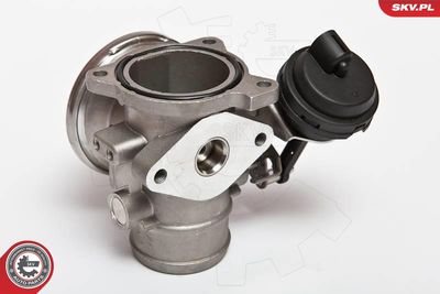 EGR Valve 14SKV020