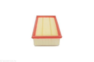 FILTRU AER AUTOMEGA 180020210 3