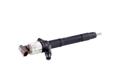 INJECTOR REMANTE 002003002041R 35