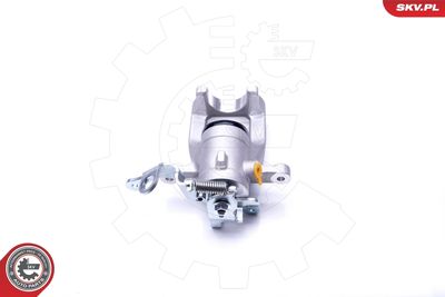 Brake Caliper 42SKV403