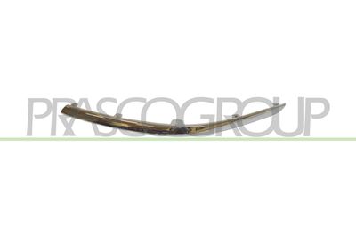 ZIER-/SCHUTZLEISTE STOßFäNGER PRASCO RG4321244