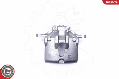 Brake Caliper 42SKV482