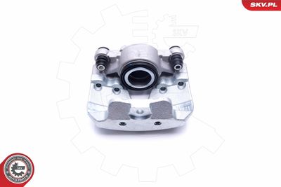 Brake Caliper 46SKV252