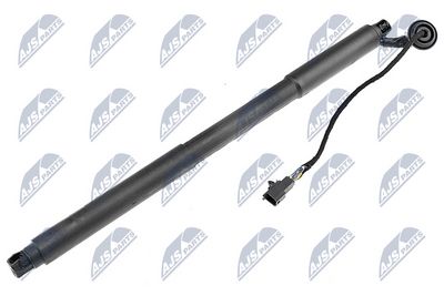 Dujinė spyruoklė, bagažinė