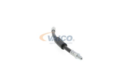 FURTUN FRANA VAICO V104135 36