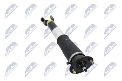 AMORTIZOR NTY ACH006 31