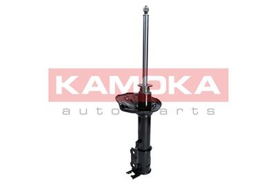 Shock Absorber 2000125