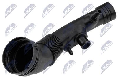 FURTUN EAR SUPRAALIMENTARE NTY GPPFT088 1