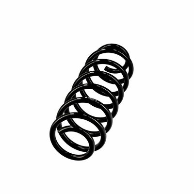 ARC SPIRAL EIBACH R10403 2