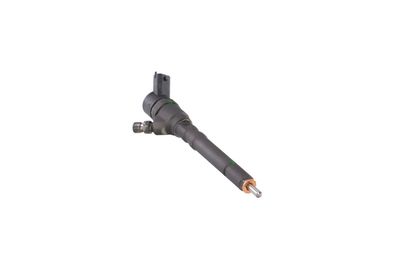 INJECTOR REMANTE 002003000020R 55