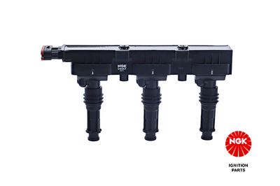 Ignition Coil 48022