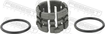 BUCSA ARBORE DE DIRECTIE