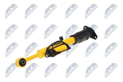 AMORTIZOR NTY ACH124 21