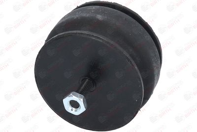 SUPORT MOTOR BIRTH 5527 8