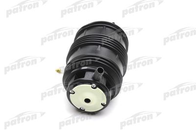 PATRON PAS1017 PATRON PAS1017