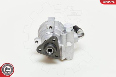 Hydraulic Pump, steering 10SKV061