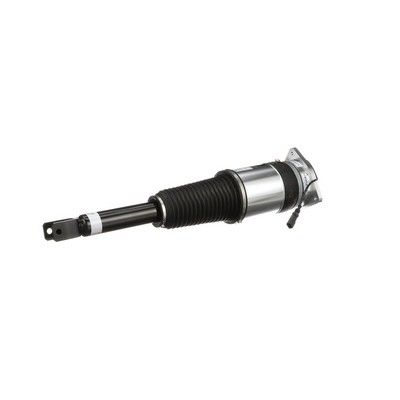 LUFTFEDERBEIN Arnott AS3031 14