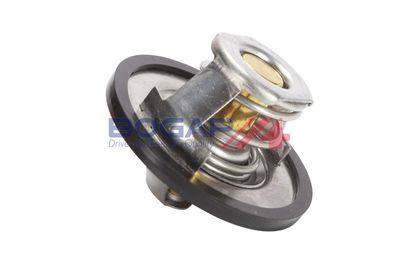 TERMOSTAT LICHID RACIRE BOGAP P4245101 2