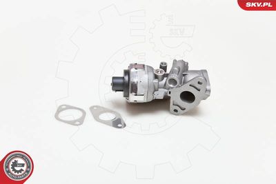 EGR Valve 14SKV038