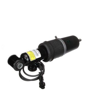 LUFTFEDERBEIN Arnott AS2163 38