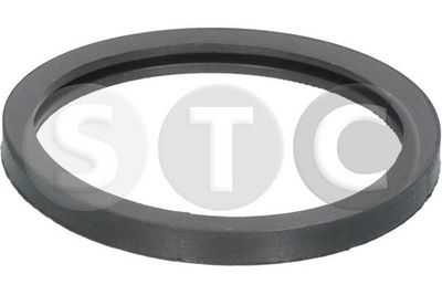 Těsnění, termostat STC T402356