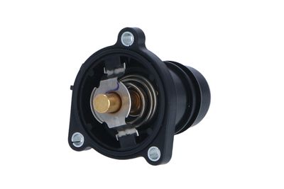 TERMOSTAT LICHID RACIRE NRF 725024 10