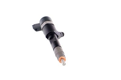INJECTOR REMANTE 002003001168R 54