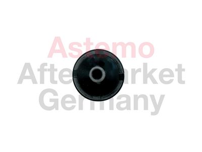 SUPAPA UNIDIRECTIONALA ASTEMO-HITACHI 2509320 2