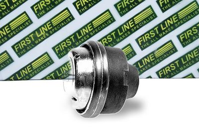 окачване, двигател FIRST LINE FEM3474