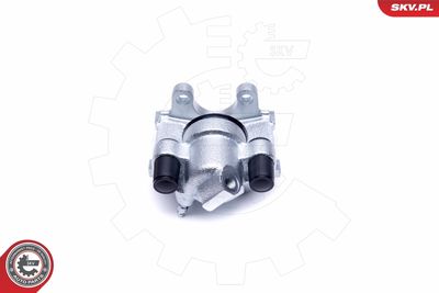 Brake Caliper 50SKV233