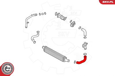 Charge Air Hose 43SKV422