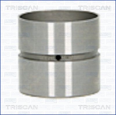 Толкатель TRISCAN 80-25007 для CITROËN C2