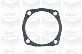 POMPă DE APă RăCIRE MOTOR GRAF PA585 1