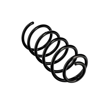 ARC SPIRAL EIBACH R10846 11