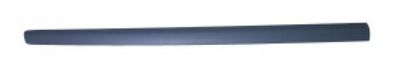 Front door left moulding MTR 11545463