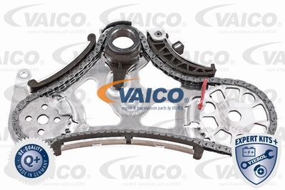 Комплект цепи, привод масляного насоса VAICO V20-3919 для BMW X6