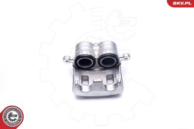 Brake Caliper 42SKV441