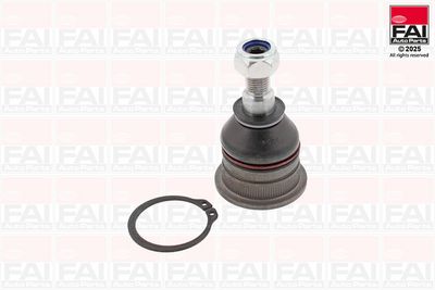 ARTICULATIE SARCINA/GHIDARE