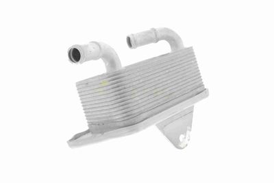 RADIATOR ULEI ULEI MOTOR VEMO V15606019 10