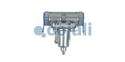 supapa de supraplin COJALI 2206163