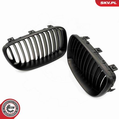 GRILA RADIATOR ESEN SKV 66SKV008 3